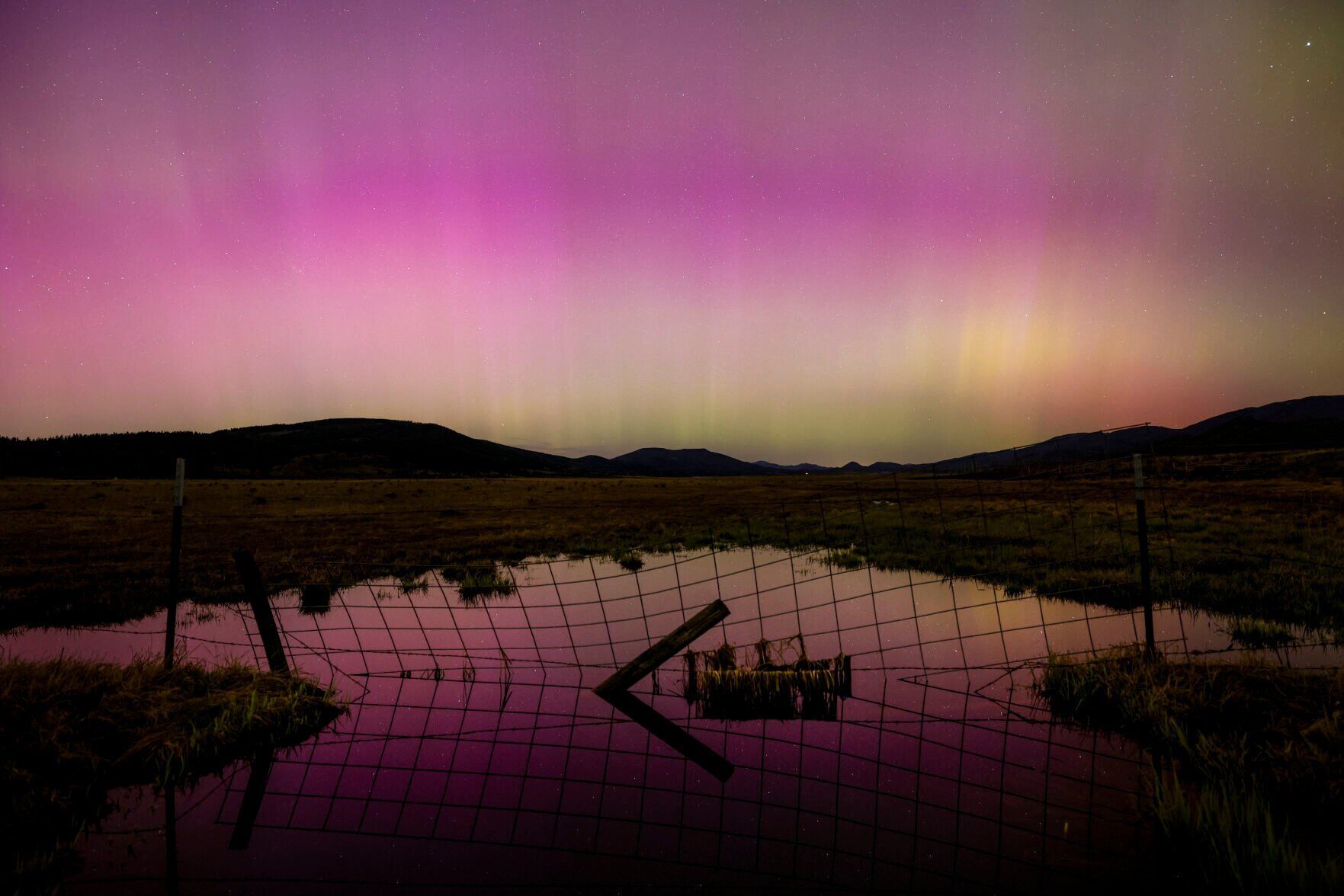 xxxx24-stnd-nws-borealis-001.jpg